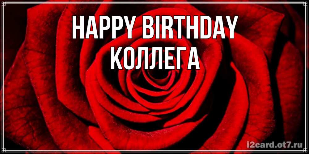 Greetings card с именем, Коллега Happy Birthday алая роза Greetings with text for free download 