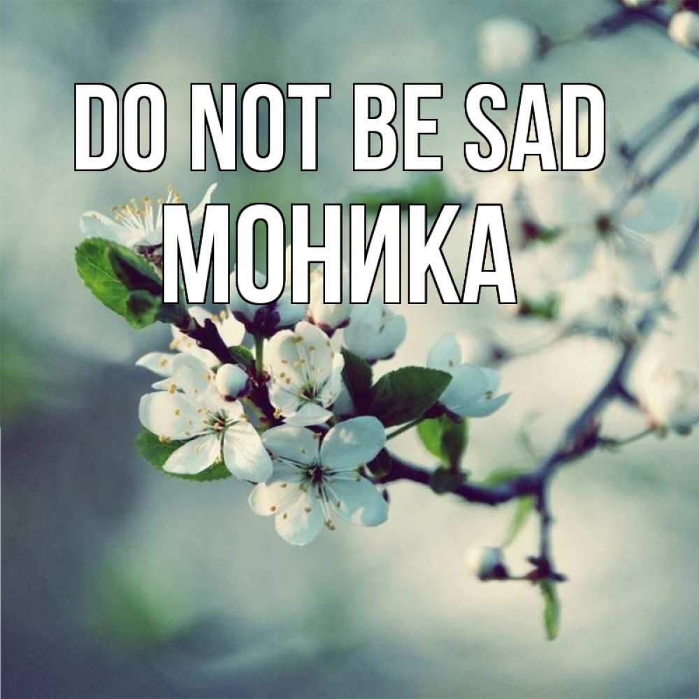 Greetings card с именем, Моника Do not be sad яблоня в цвету 1 Greetings with text for free download 