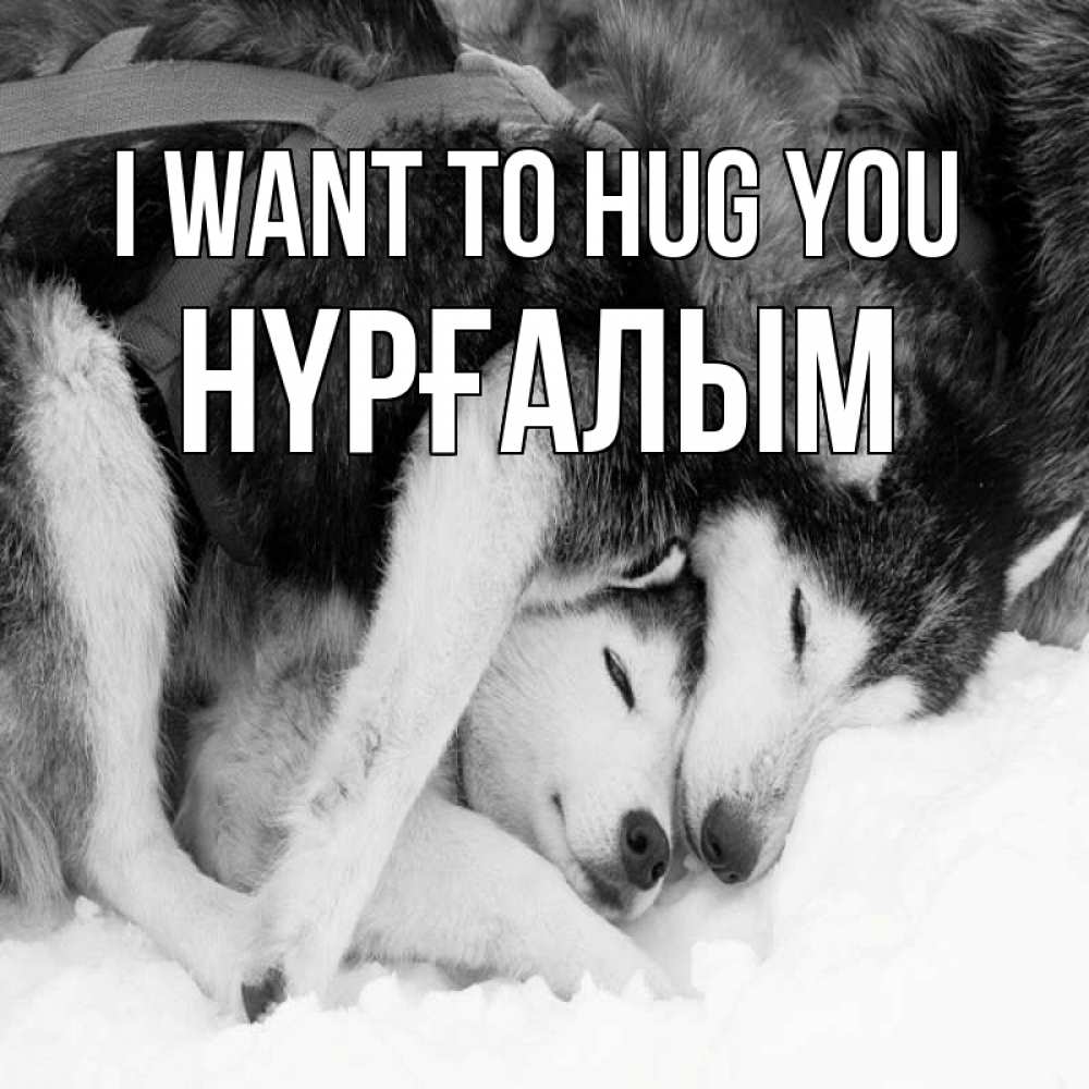 Greetings card с именем, НҮРҒАЛЫМ I want to hug you собачки в упряжке Greetings with text for free download 