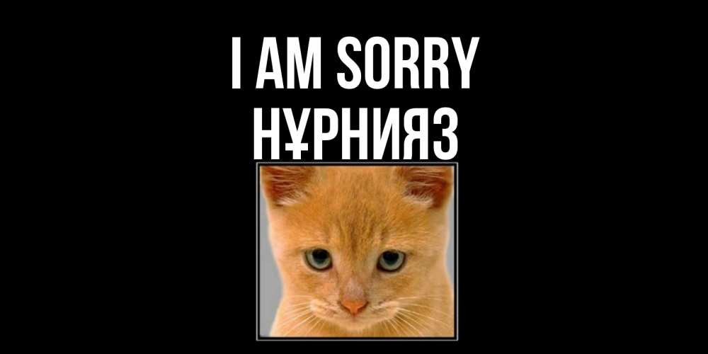 Greetings card с именем, НҰРНИЯЗ I am sorry рыжий грустный кот просит прощения Greetings with text for free download 