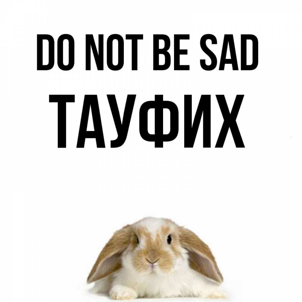 Greetings card с именем, ТАУФИХ Do not be sad коричнево белый заяц с большими ушками Greetings with text for free download 