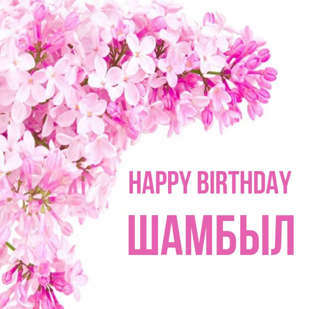 Greetings card с именем, ШАМБЫЛ Happy Birthday Сирень на белом фоне Greetings with text for free download 