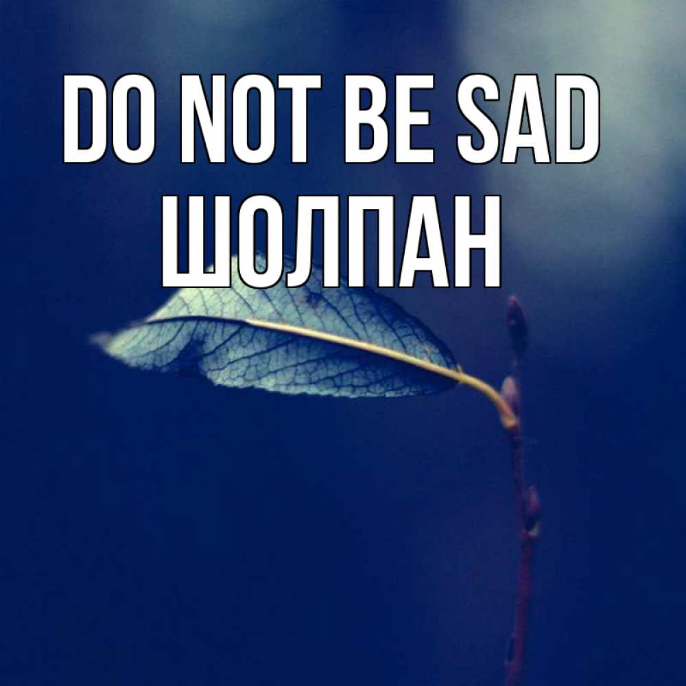 Greetings card с именем, ШОЛПАН Do not be sad растение Greetings with text for free download 