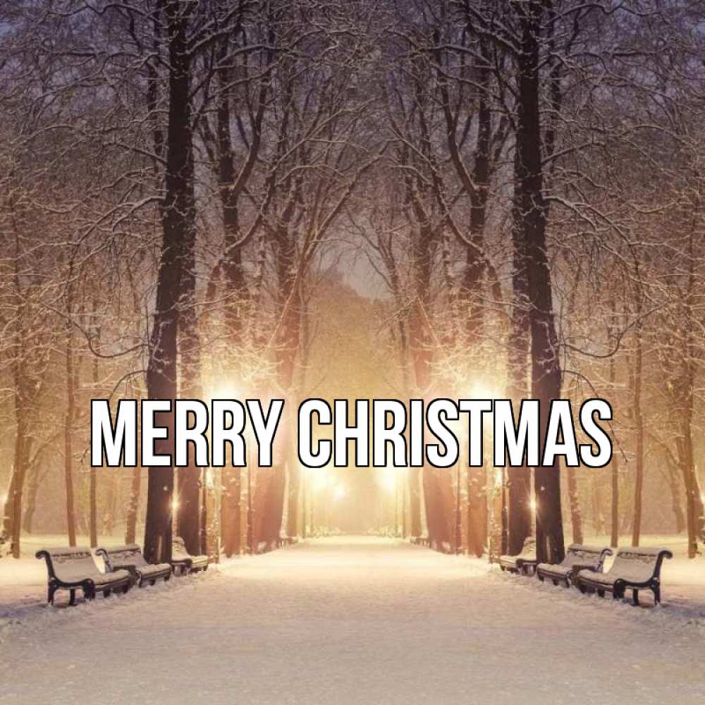 Greetings card с именем, выберите-имя Merry Christmas зима, парк, фонарь, лес Greetings with text for free download 