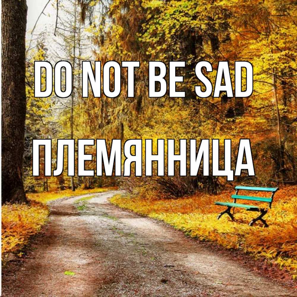 Greetings card с именем, Племянница Do not be sad зеленая лавочка Greetings with text for free download 