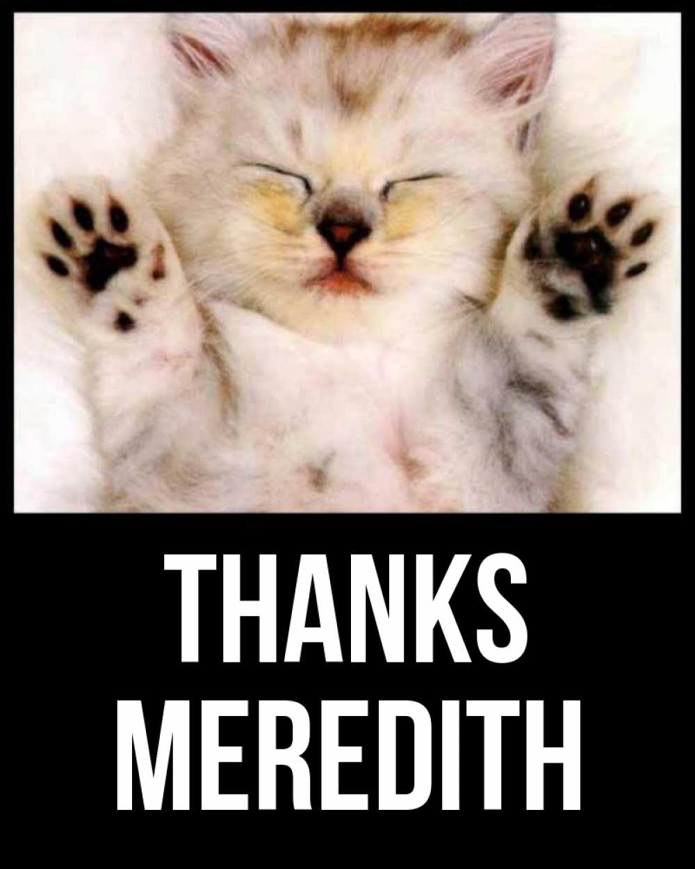 Greetings card с именем, Meredith Thanks маленький котенок Greetings with text for free download 