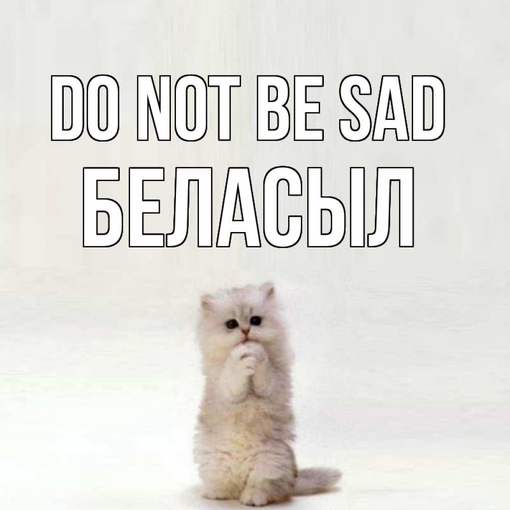 Greetings card с именем, Беласыл Do not be sad грустный кот Greetings with text for free download 