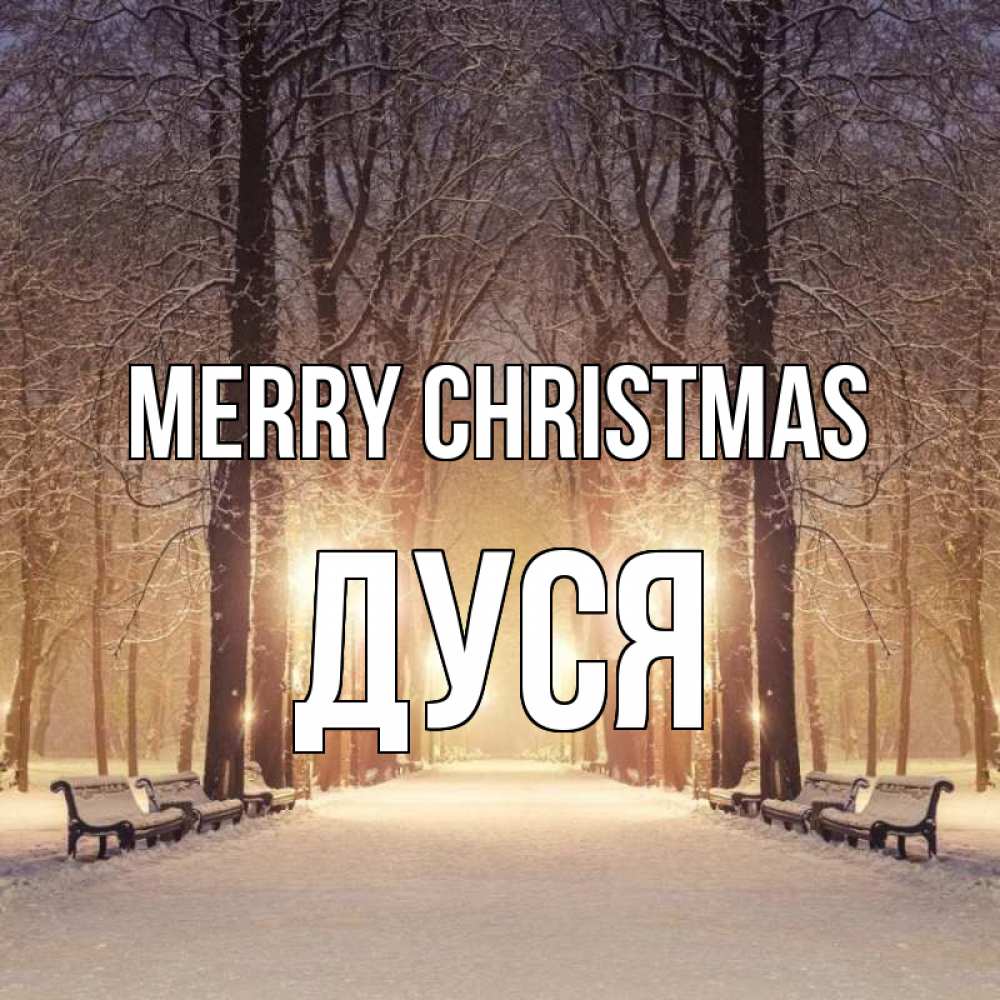 Greetings card с именем, Дуся Merry Christmas зима, парк, фонарь, лес Greetings with text for free download 