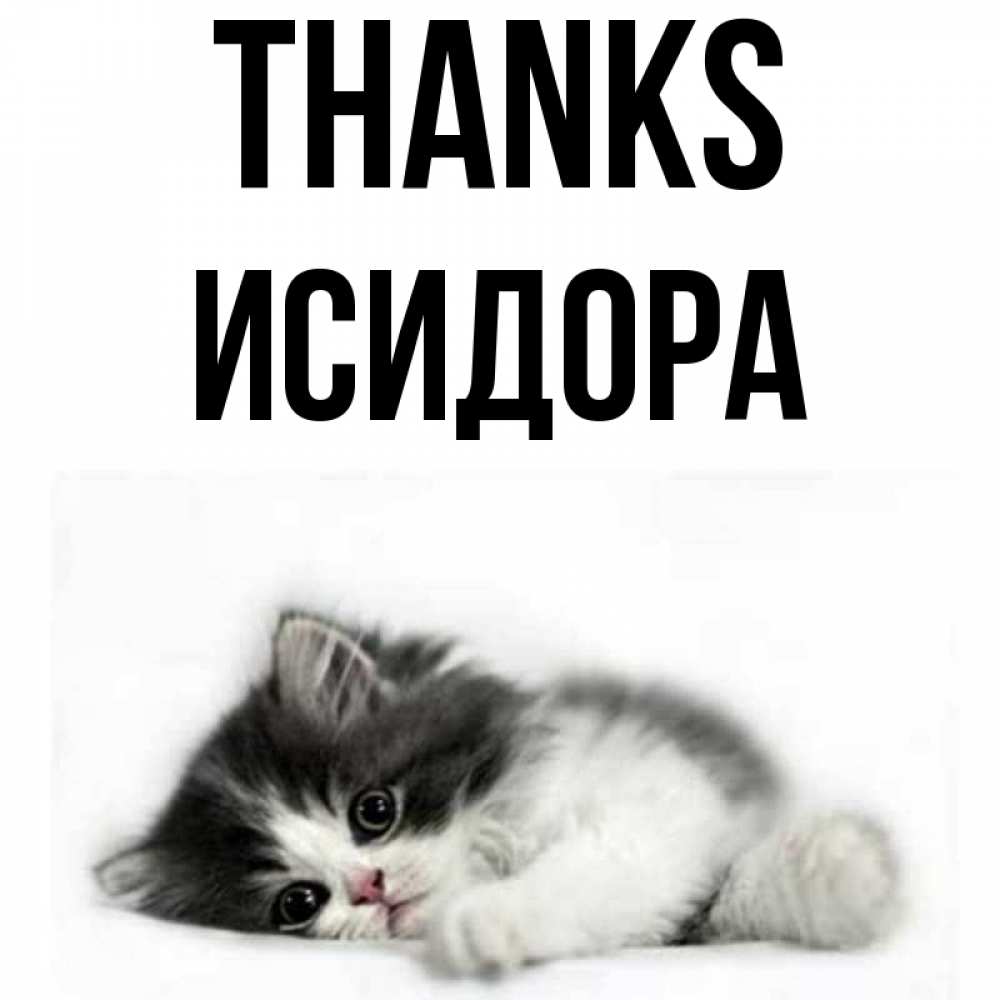 Greetings card с именем, Исидора Thanks черный и белый кот Greetings with text for free download 