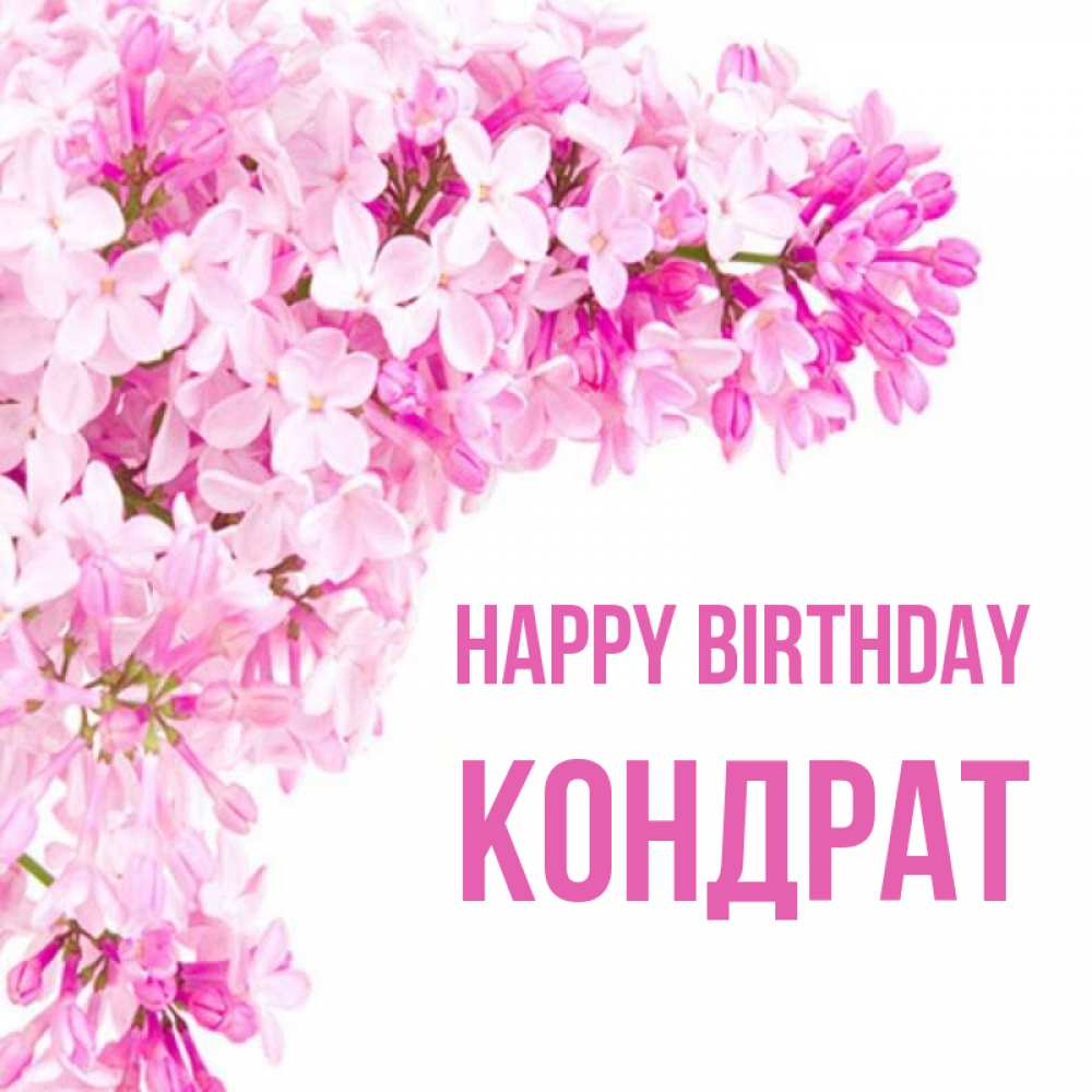 Greetings card с именем, Кондрат Happy Birthday Сирень на белом фоне Greetings with text for free download 