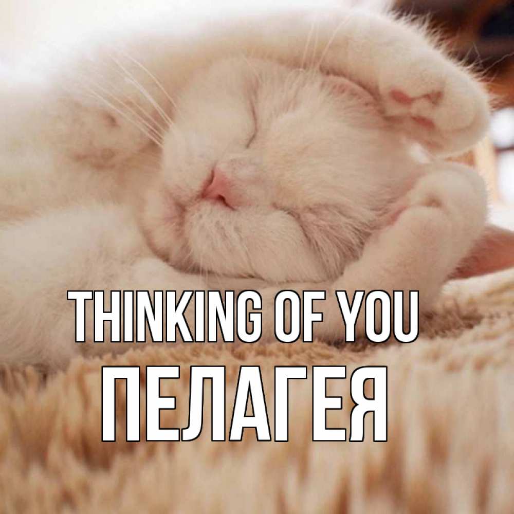 Greetings card с именем, Пелагея Thinking of you для любимой девушки милота Greetings with text for free download 