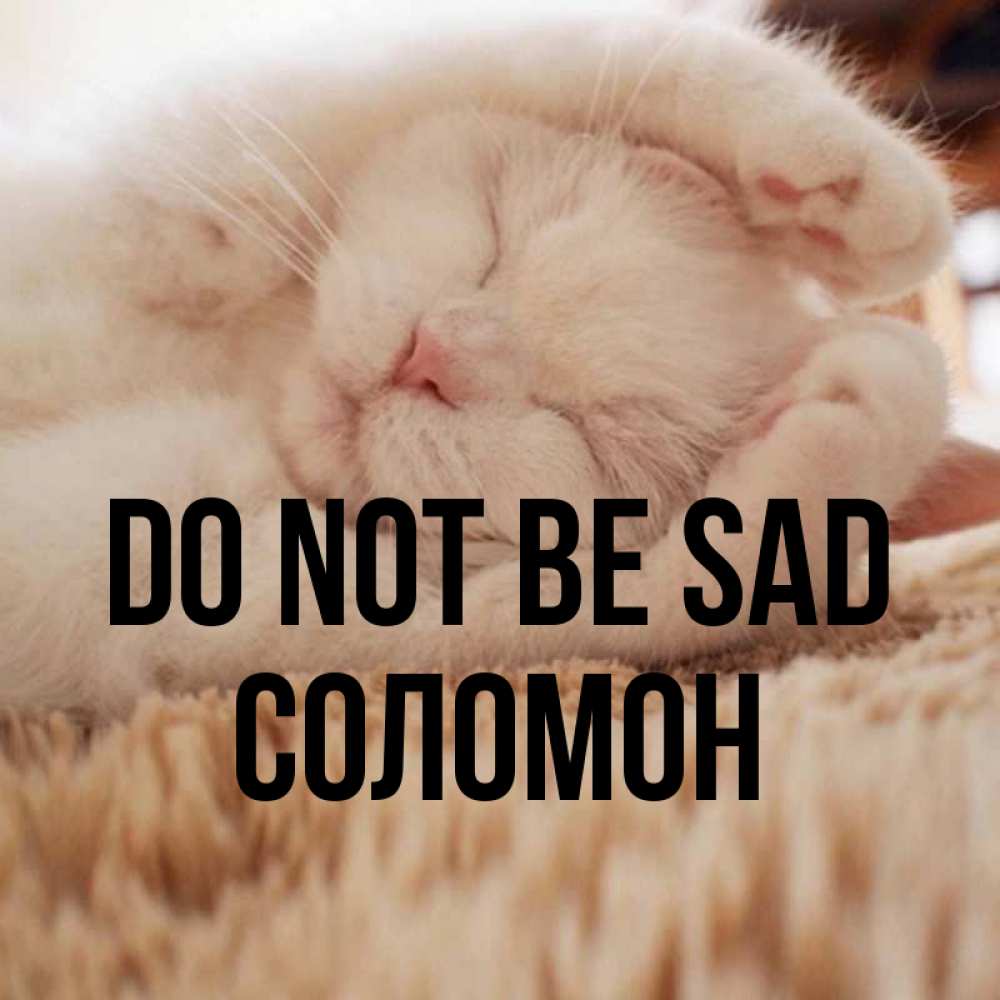 Greetings card с именем, Соломон Do not be sad Котенок спит Greetings with text for free download 
