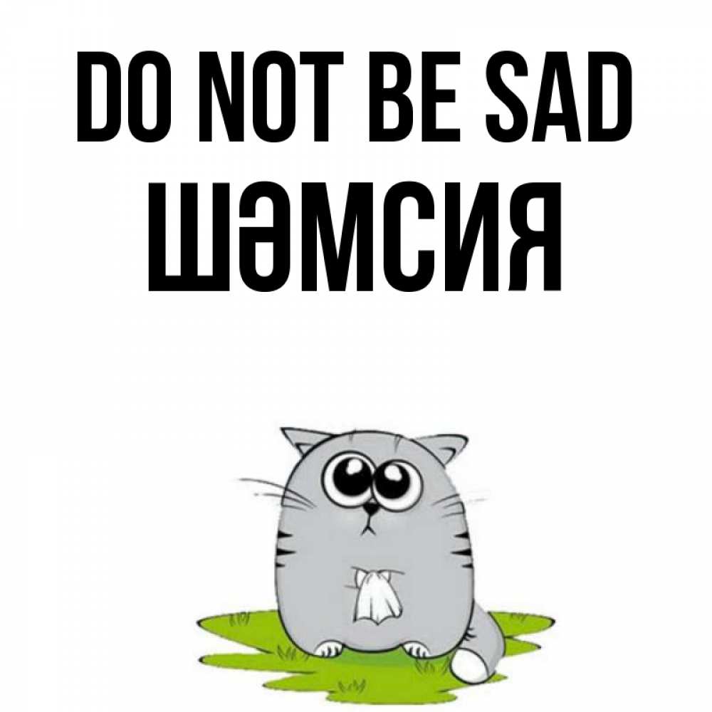 Greetings card с именем, ШӘМСИЯ Do not be sad грустный котяра Greetings with text for free download 