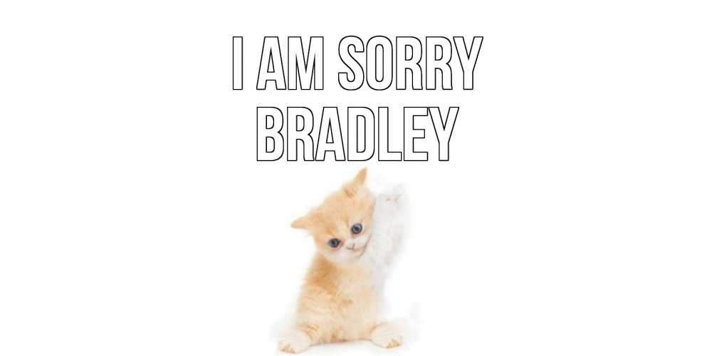 Greetings card с именем, Bradley I am sorry кот Greetings with text for free download 