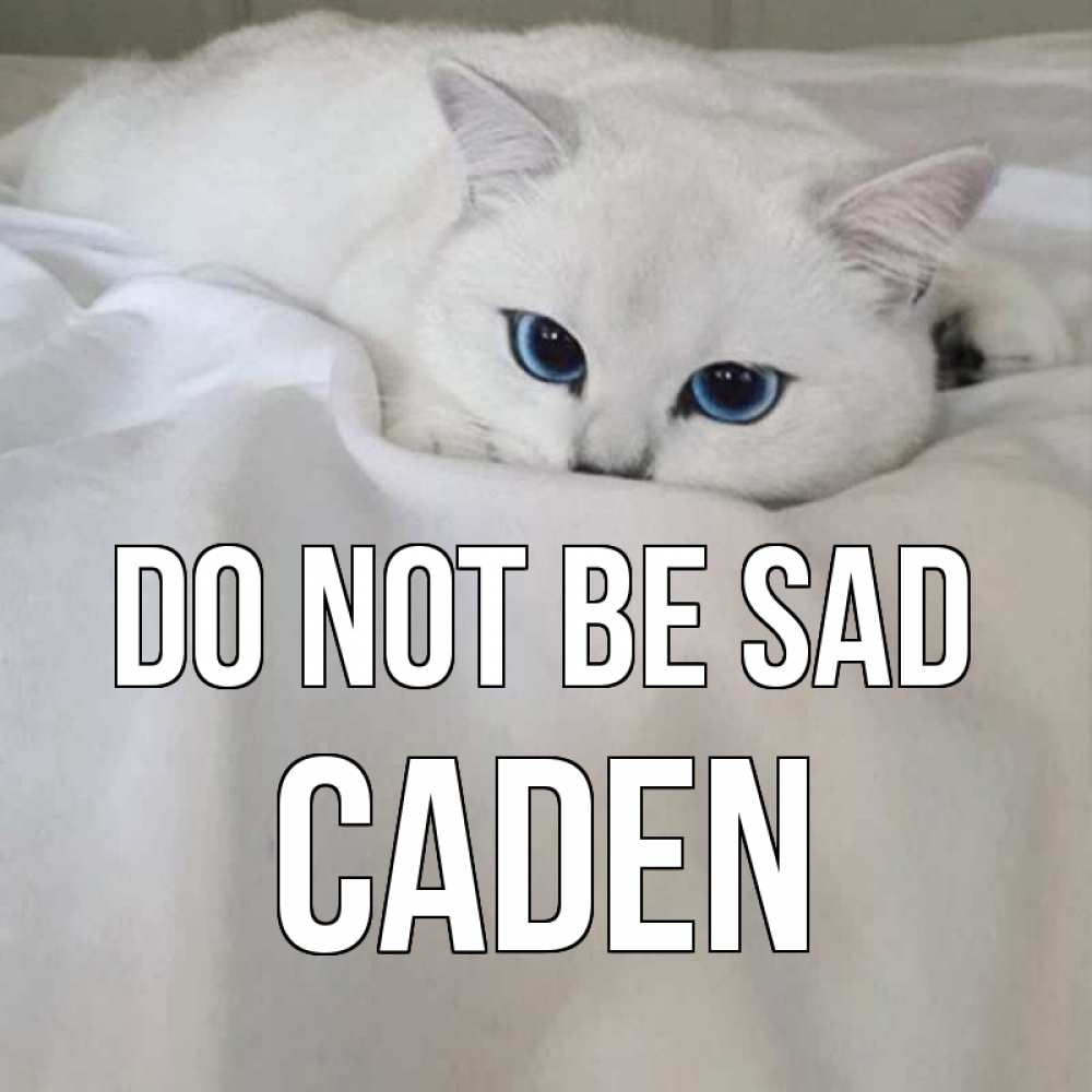 Greetings card с именем, Caden Do not be sad белый кот с голубыми глазами на белоснежной кровати Greetings with text for free download 