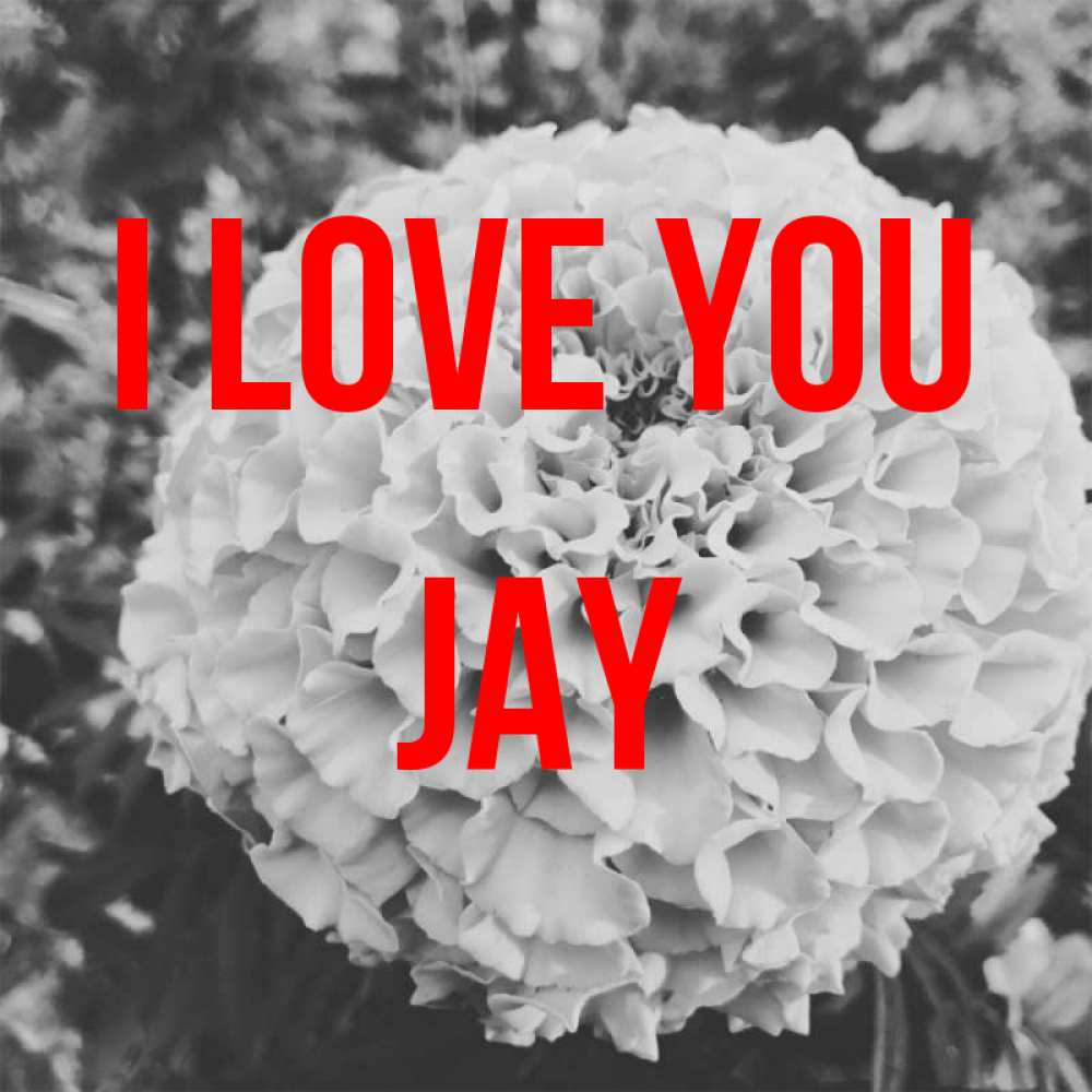 Greetings card с именем, Jay I love you подпись Greetings with text for free download 