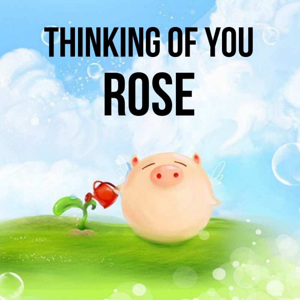 Greetings card с именем, Rose Thinking of you позитивная свинюшка Greetings with text for free download 