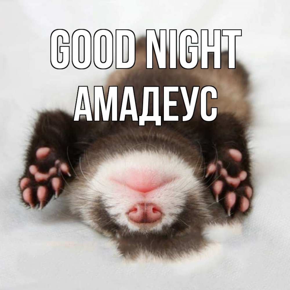 Greetings card с именем, Амадеус Good night зверек Greetings with text for free download 
