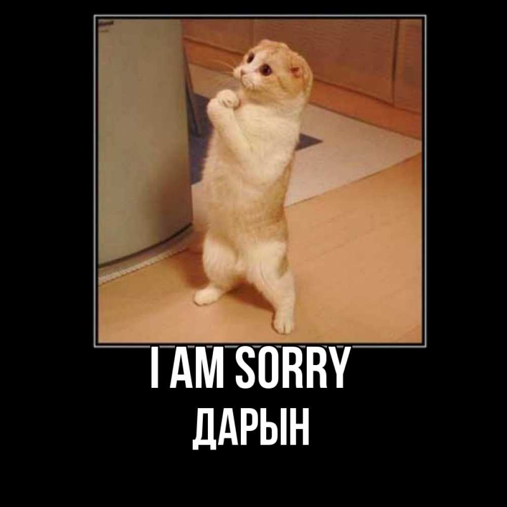 Greetings card с именем, Дарын I am sorry открытка с милым несчастным котиком просящим прощения Greetings with text for free download 