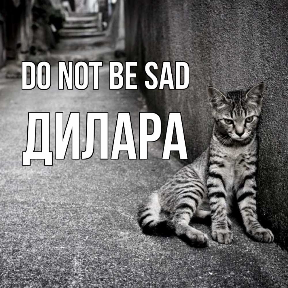 Greetings card с именем, Дилара Do not be sad скучающий котик Greetings with text for free download 