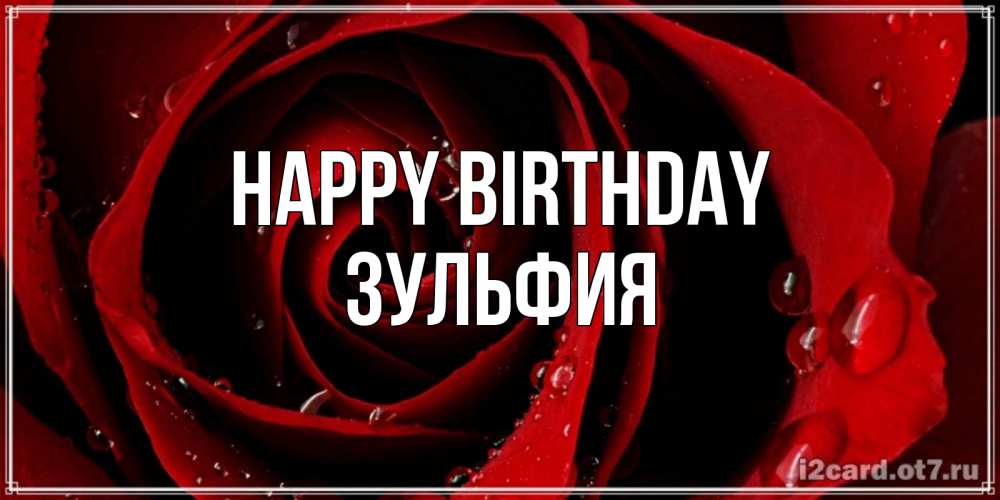 Greetings card с именем, Зульфия Happy Birthday крупная бордовая роза Greetings with text for free download 