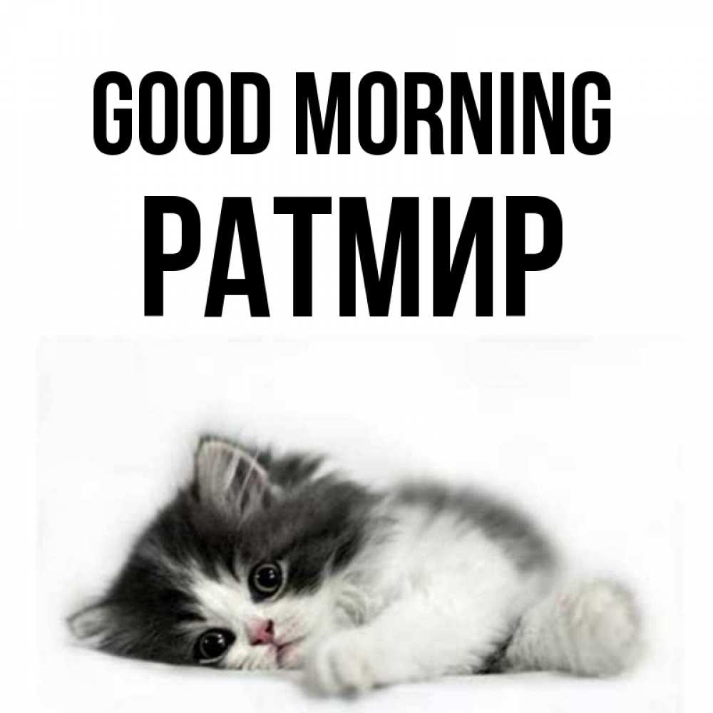 Greetings card с именем, Ратмир Good morning кот лапки Greetings with text for free download 