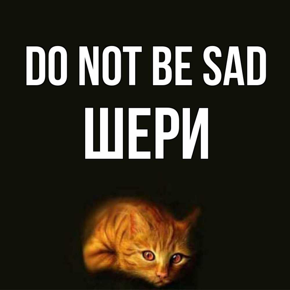 Greetings card с именем, ШЕРИ Do not be sad лежащий кот в темноте Greetings with text for free download 