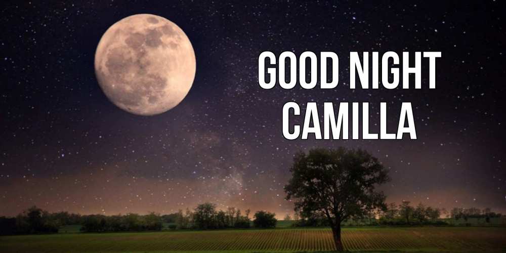 Greetings card с именем, Camilla Good night ночные открытки с луной Greetings with text for free download 