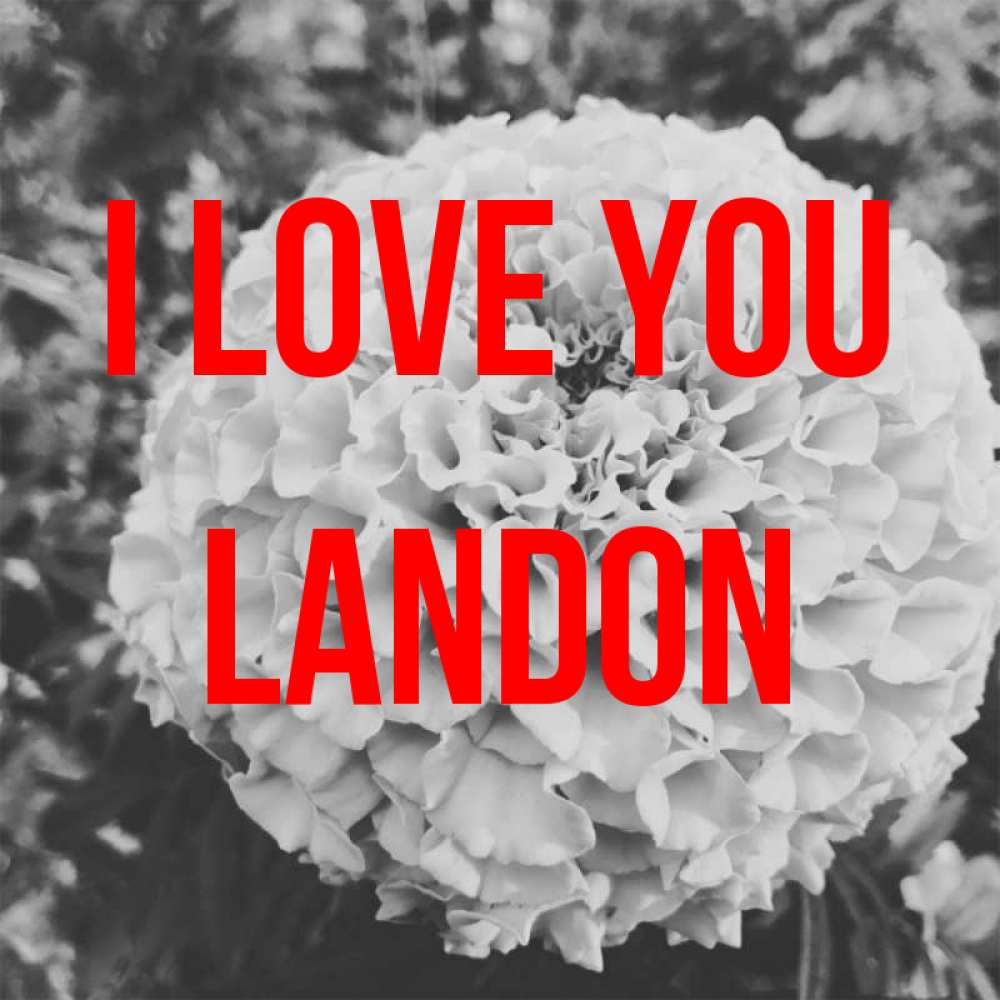 Greetings card с именем, Landon I love you подпись Greetings with text for free download 