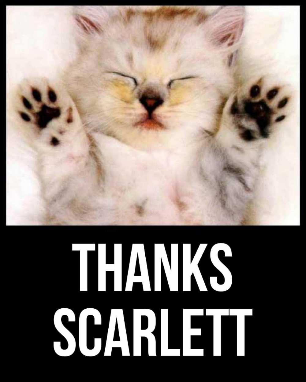 Greetings card с именем, Scarlett Thanks маленький котенок Greetings with text for free download 