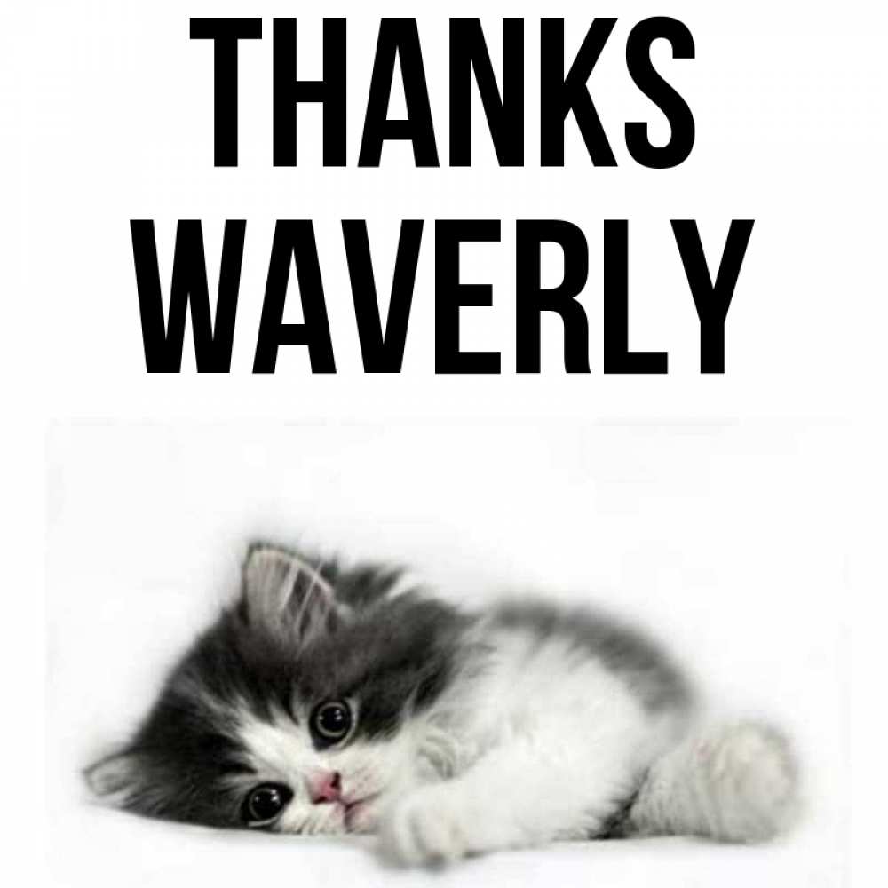 Greetings card с именем, Waverly Thanks черный и белый кот Greetings with text for free download 