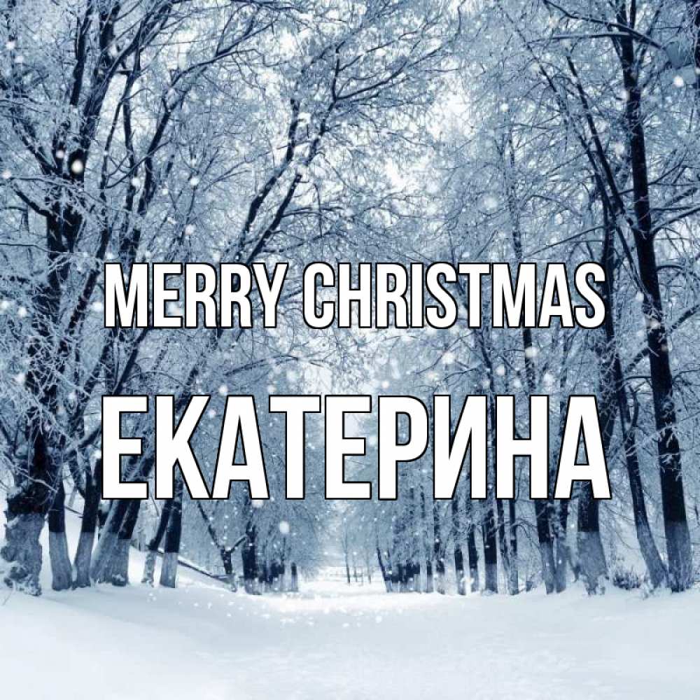 Greetings card с именем, Екатерина Merry Christmas снег, лес, парк Greetings with text for free download 