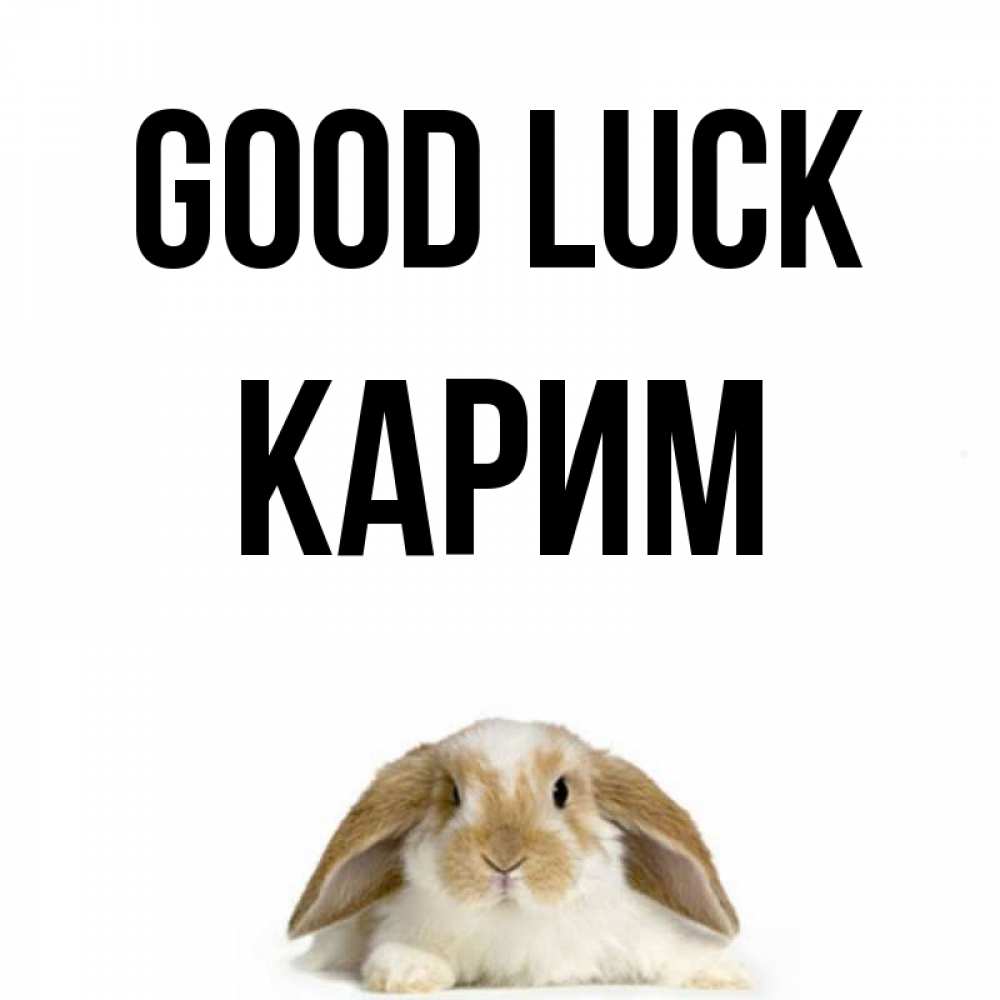Greetings card с именем, Карим Good luck открытки с произвольным текстом который можно вставить в открытку и создать ее самостоятельно бесплатно онлайн Greetings with text for free download 