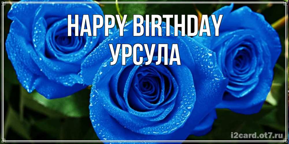 Greetings card с именем, Урсула Happy Birthday розы с синим цветом Greetings with text for free download 