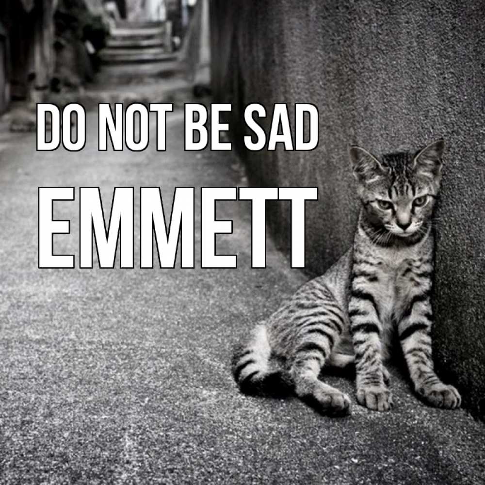 Greetings card с именем, Emmett Do not be sad скучающий котик Greetings with text for free download 