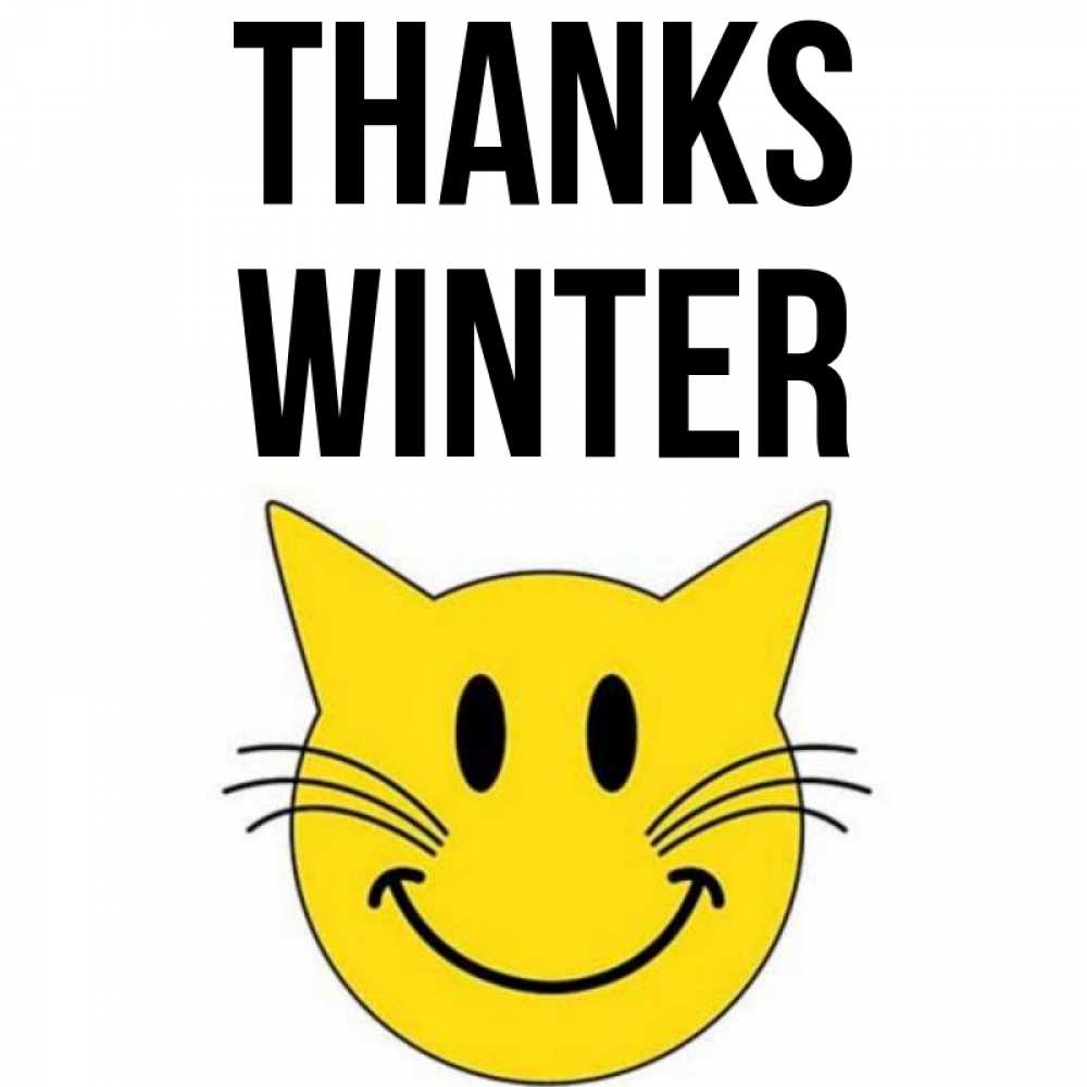 Greetings card с именем, Winter Thanks улыбающийся смайл кот Greetings with text for free download 