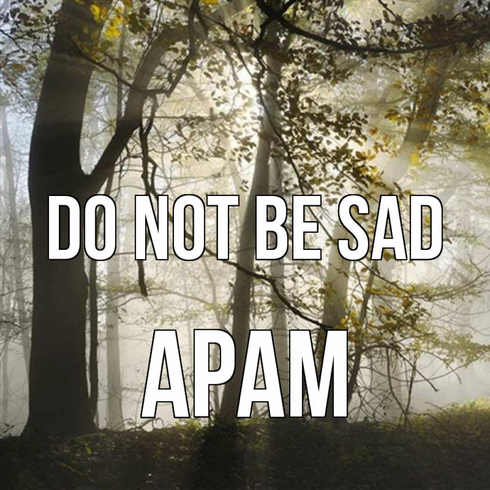 Greetings card с именем, Арам Do not be sad лес и свет Greetings with text for free download 