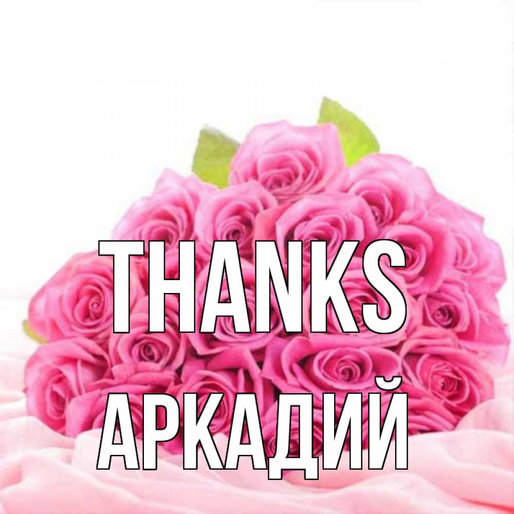 Greetings card с именем, Аркадий Thanks розовые розы с подписью Greetings with text for free download 