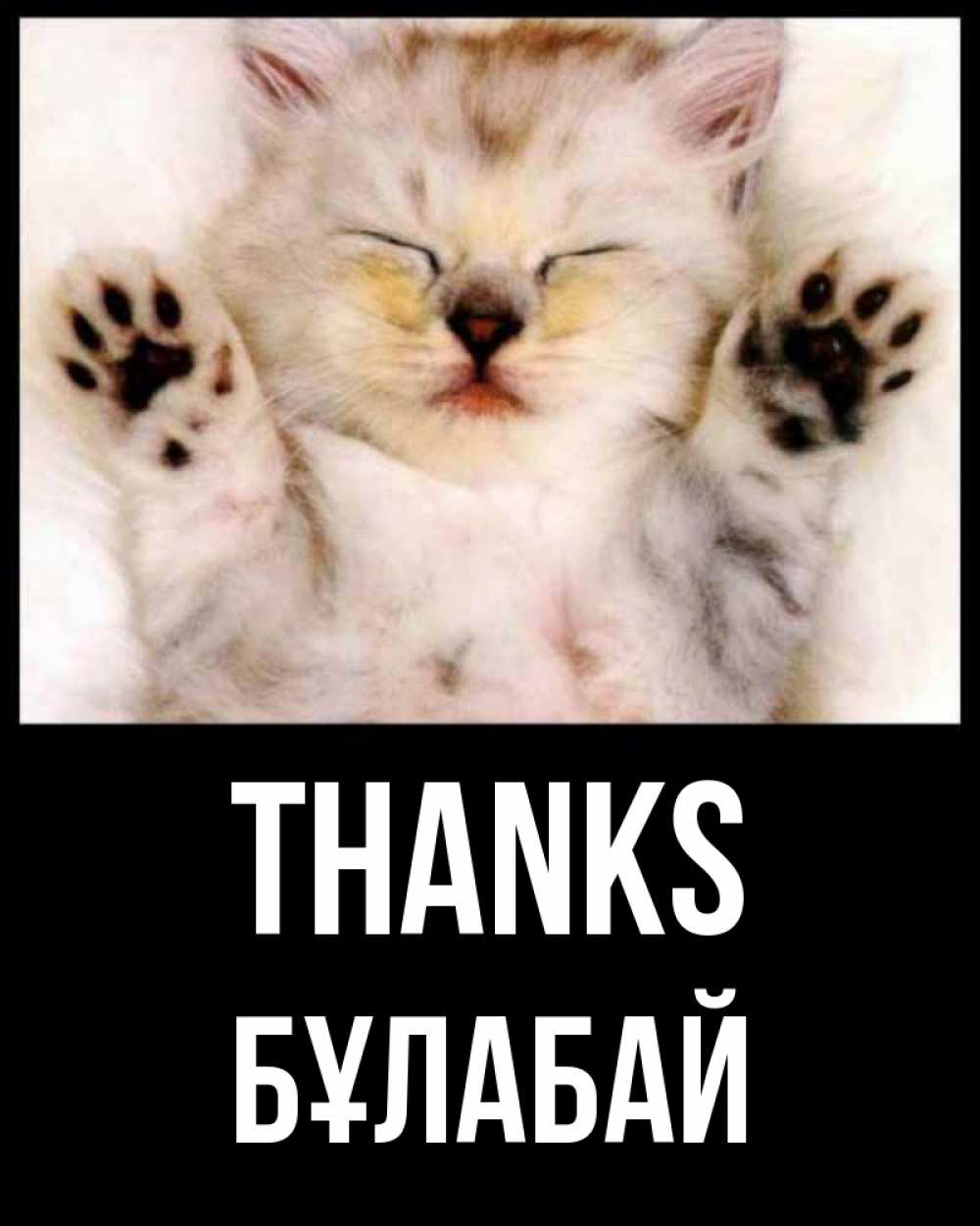 Greetings card с именем, Бұлабай Thanks маленький котенок Greetings with text for free download 