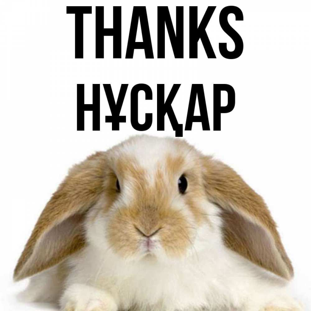 Greetings card с именем, НҰСҚАР Thanks коричнево белый заяц Greetings with text for free download 