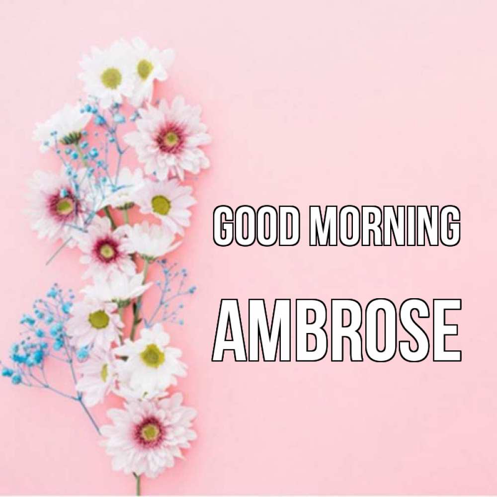 Greetings card с именем, Ambrose Good morning цветы с подписью Greetings with text for free download 