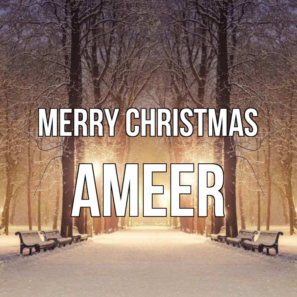 Greetings card с именем, Ameer Merry Christmas зима, парк, фонарь, лес Greetings with text for free download 