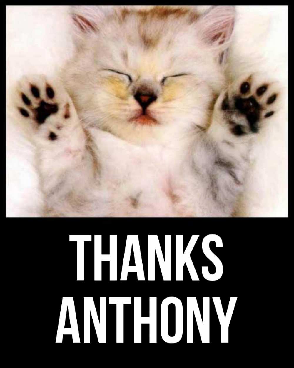 Greetings card с именем, Anthony Thanks маленький котенок Greetings with text for free download 