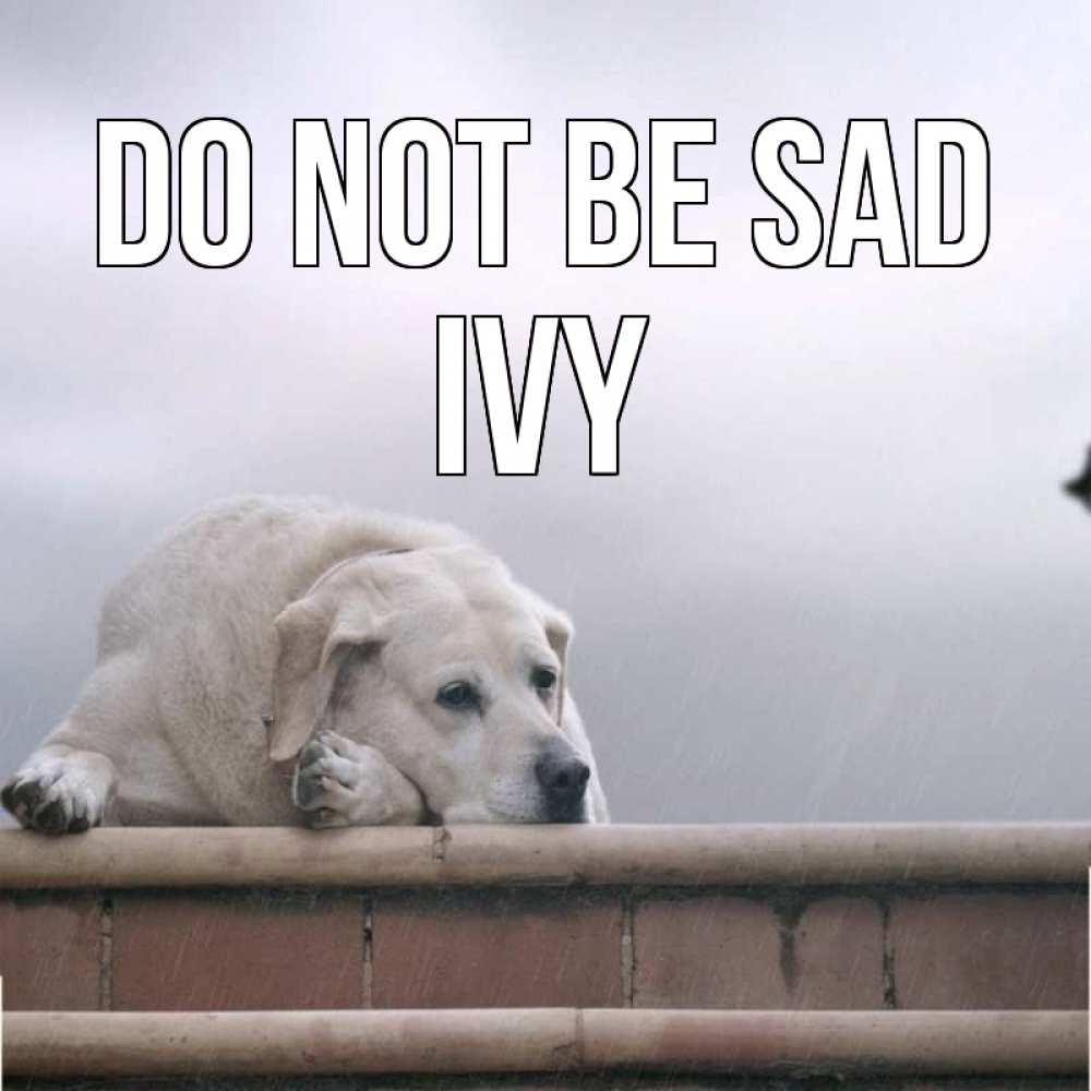 Greetings card с именем, Ivy Do not be sad белый пес 1 Greetings with text for free download 