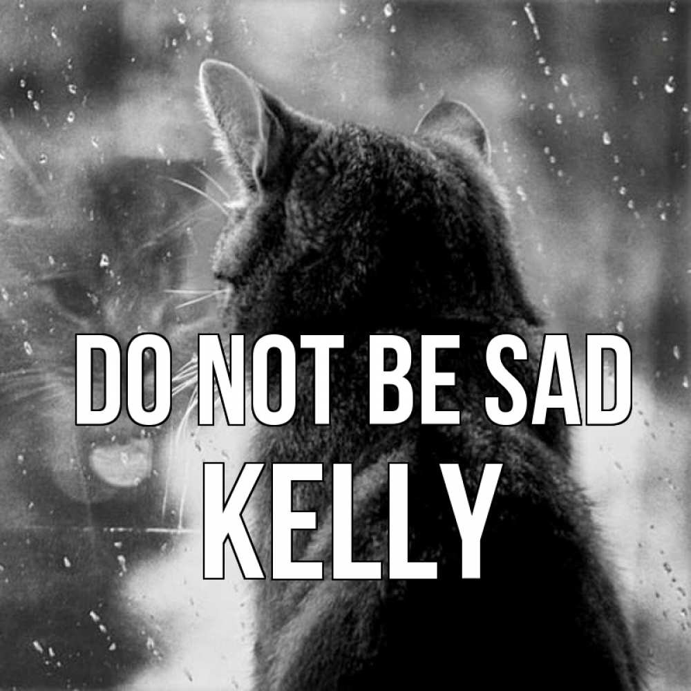 Greetings card с именем, Kelly Do not be sad отражение кота 1 Greetings with text for free download 