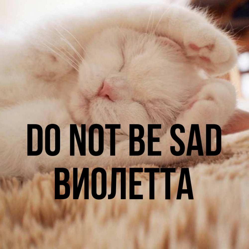 Greetings card с именем, Виолетта Do not be sad Котенок спит Greetings with text for free download 