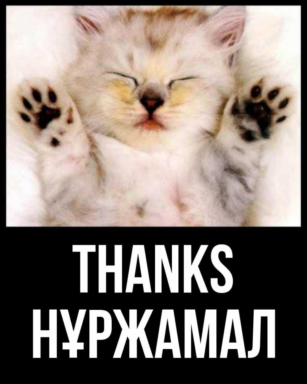 Greetings card с именем, НҰРЖАМАЛ Thanks маленький котенок Greetings with text for free download 