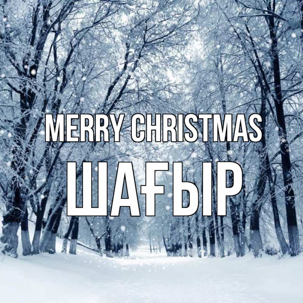 Greetings card с именем, ШАҒЫР Merry Christmas снег, лес, парк Greetings with text for free download 