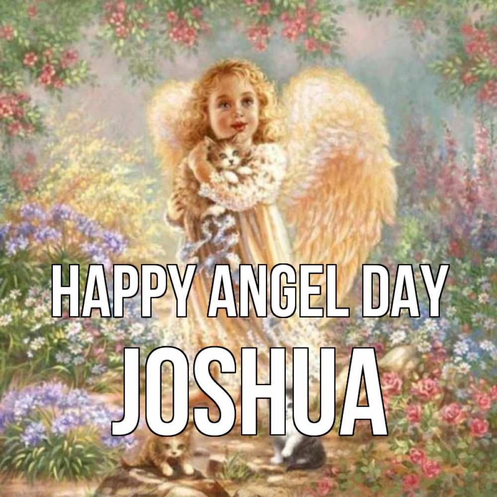 Greetings card с именем, Joshua happy angel day держит котенка Greetings with text for free download 