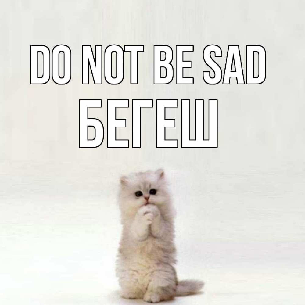Greetings card с именем, Бегеш Do not be sad грустный кот Greetings with text for free download 